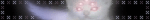 starflesh cat